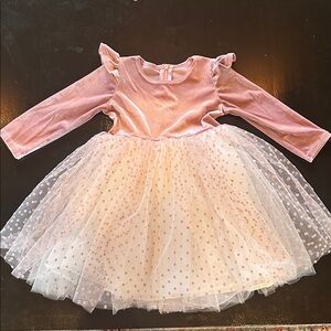 Pink Velvet and Tulle Dress